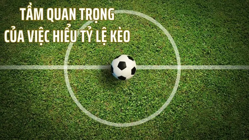 Giải mã tỷ lệ kèo bóng đá, từ cơ bản đến nâng cao