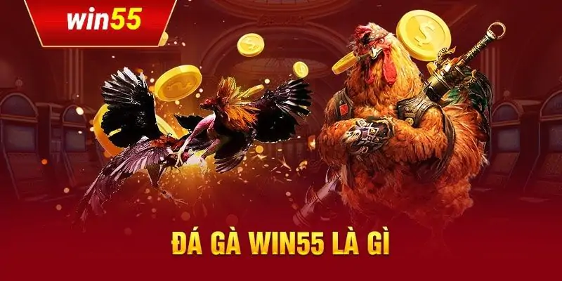 Đá Gà Win55 - Bật Mí Bí Kíp Chọn Gà Chiến Thu Về Lợi Nhuận