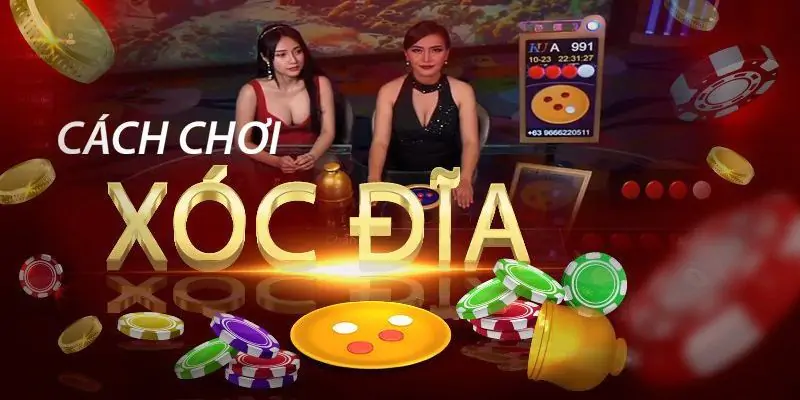 Cách chơi xóc đĩa và 3 mẹo bật mí bởi chuyên gia Kingfun