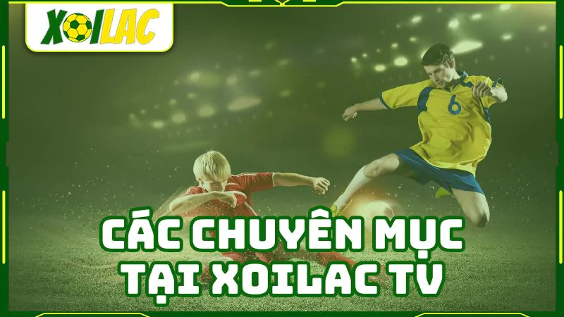 Xoilac TV-Xem bóng đá siêu mượt và hoàn toàn miễn phí