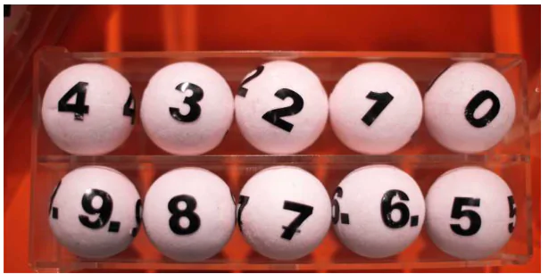 Khám Phá Thế Giới Xổ Số Cà Mau - Những Điểm Đến Hấp Dẫn