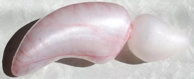 Đ&acirc;y mới l&agrave; c&ocirc;ng dụng thực sự của bong b&oacute;ng c&aacute;, x&oacute;a bỏ hiểu nhầm phổ biến  hơn 300 năm qua